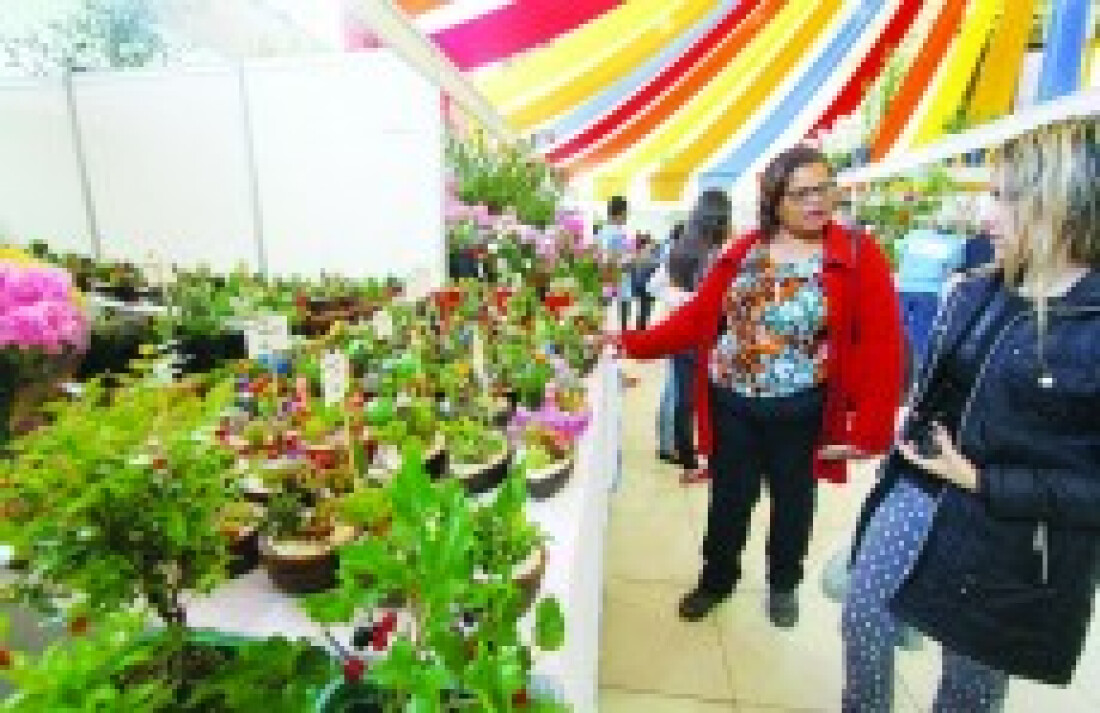 Expoá recebe público em busca de bons preços