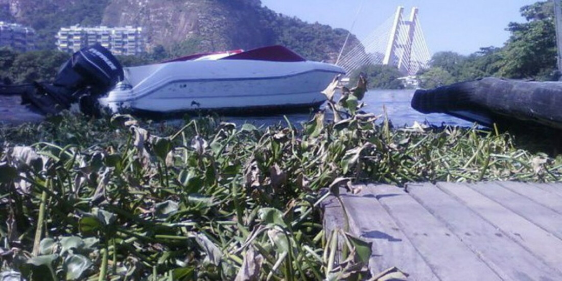 Comlurb retira 280 toneladas de gigogas da praia da Barra da Tijuca  