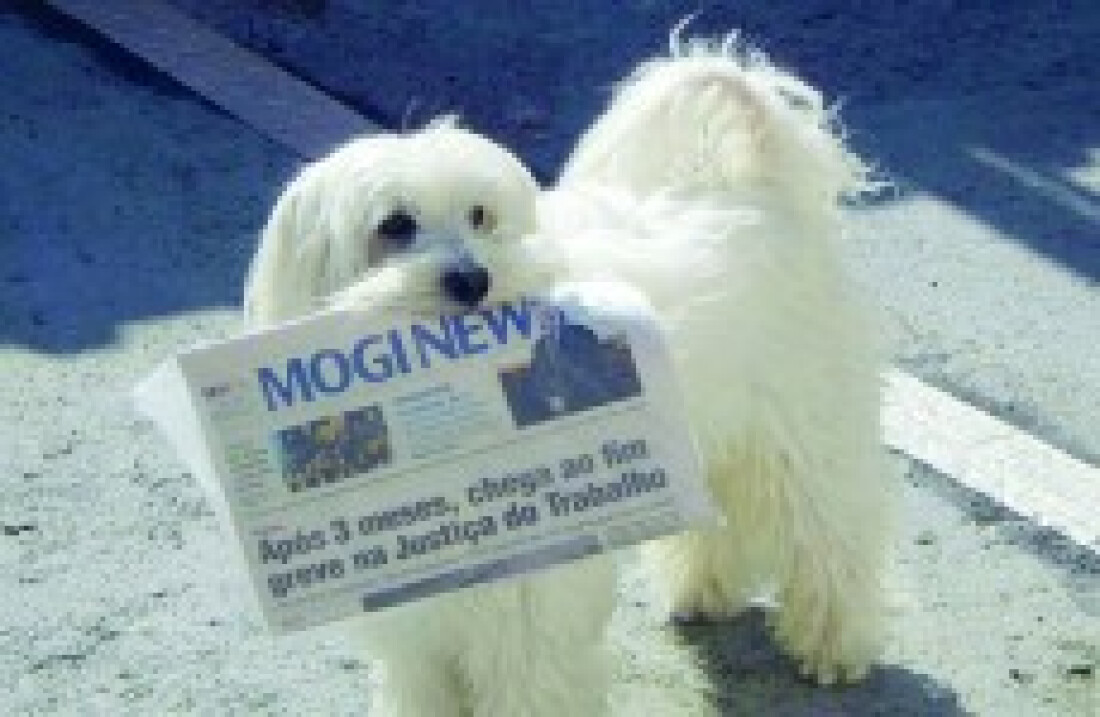 Cão Ozzy pega jornal Mogi News e o leva para os donos