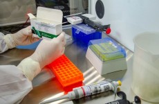 Estudos de vacina vão ser retomados