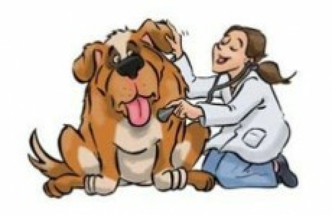 Veterinário