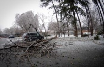 Nevasca deixa dez mortos nos EUA