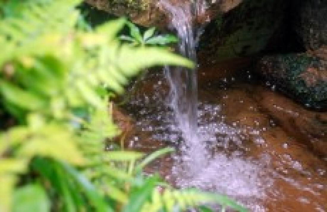 Parque Nascentes reabre para festejar o Rio Tietê