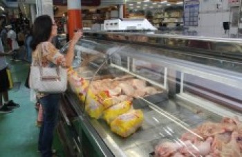 Hong Kong decide voltar com importação de frango