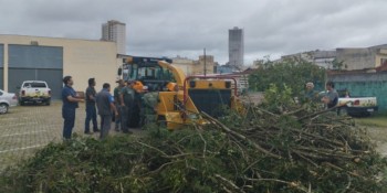 Equipamento triturador de galhos auxiliará trabalho de equipes de poda