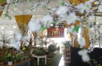 Expoá começa hoje às 10 horas