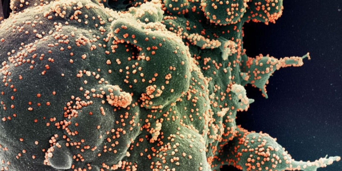 Região não registra óbitos por Covid-19 nos últimos três dias