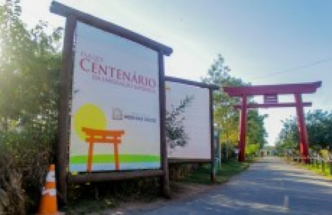Pq. Centenário tem atividades para comemorar Dia da Abelha