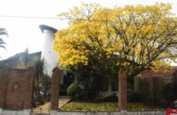 A chegada da primavera