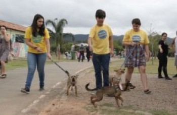 Pets são adotados em feira promovida pelo Fundo Social