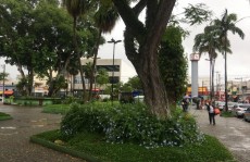 Por enquanto, revitalização é na praça Diego Chavedar