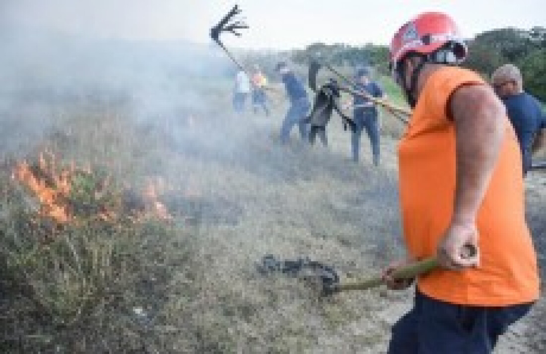 Região registra 382 incêndios florestais somente neste ano