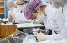 Tratamento dentário auxilia300 crianças na área rural
