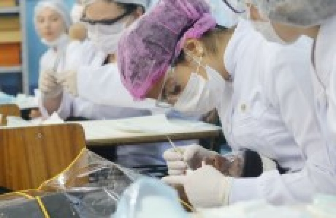 Tratamento dentário auxilia300 crianças na área rural