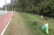 Departamento de Limpeza Pública zera reclamações pela Ouvidoria