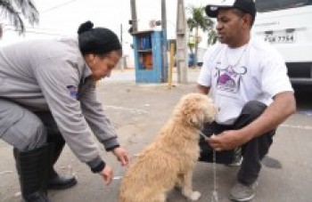 Vacinação antirrábica segue em Jundiapeba