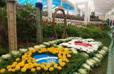 Feira de flores Expo Aflord será aberta hoje em Arujá