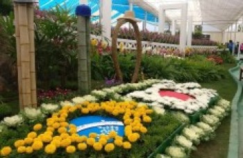 Feira de flores Expo Aflord será aberta hoje em Arujá