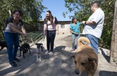 Fundo entrega 180 quilos de ração
