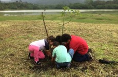 Alunos plantam 200 mudas de espécies nativas no Leon Feffer