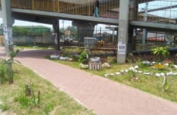 Professor promove a limpeza de ruas e praças da Vila Lúcia