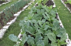 Nova edição tem início quinta-feira