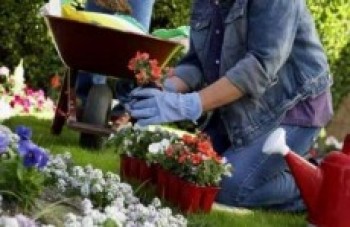 Cursos de jardinagem têm matrículas até amanhã