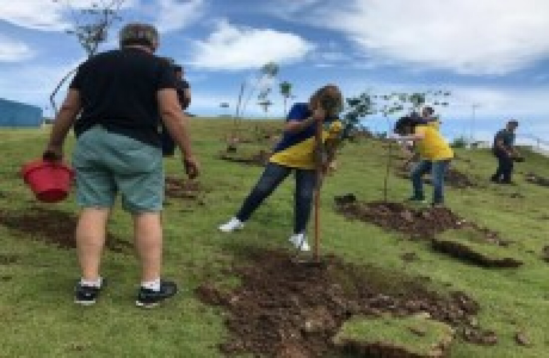 Lions realiza plantio de 100 árvores