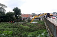 Itaquá faz remoção de aguapé no rio Tietê