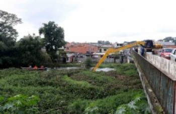 Itaquá faz remoção de aguapé no rio Tietê