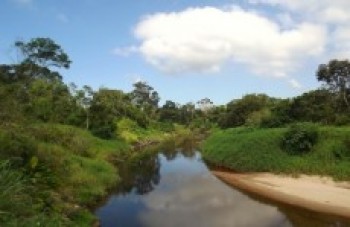 Rio Itapanhaú pode abastecer a região