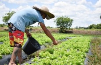 Produtores rurais enfrentam dias ruins para comercializar
