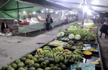 Feiras temáticas serão suspensas