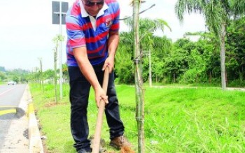 Prefeitura adere ao projeto ambientalista Hora Verde