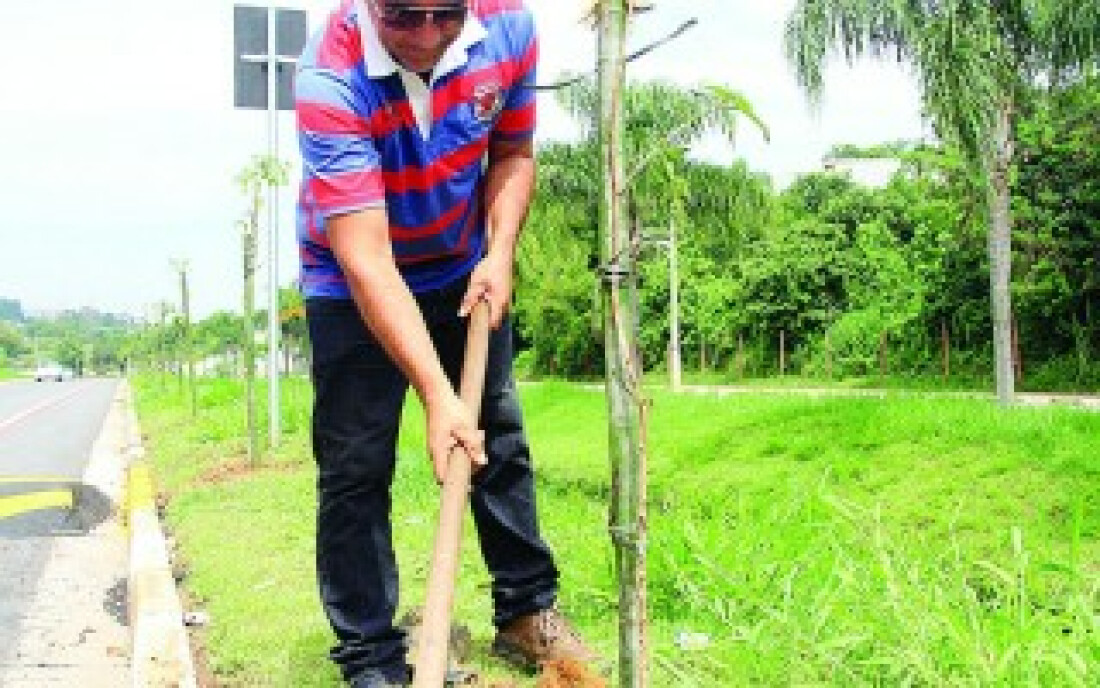 Prefeitura adere ao projeto ambientalista Hora Verde