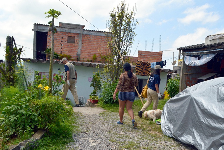 Chuvas exigem cuidados extras para evitar dengue