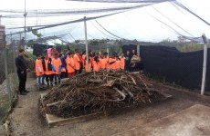 Estudantes visitam estação de tratamento de esgoto