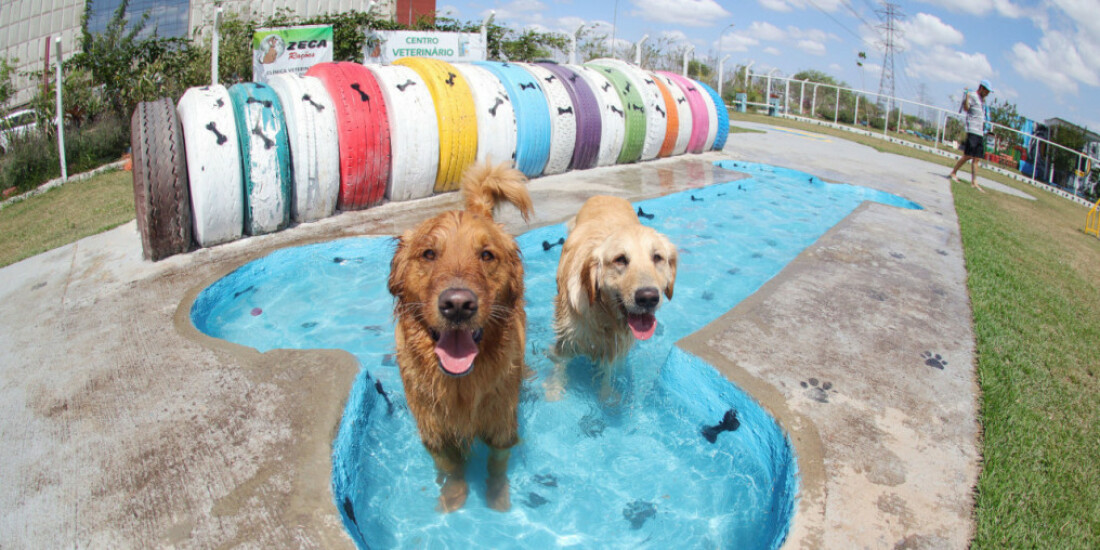 Playpet realiza novas inscrições e recadastramentos