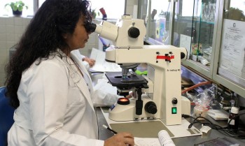 Empoderamento feminino no Brasil é médio-baixo mostra ONU