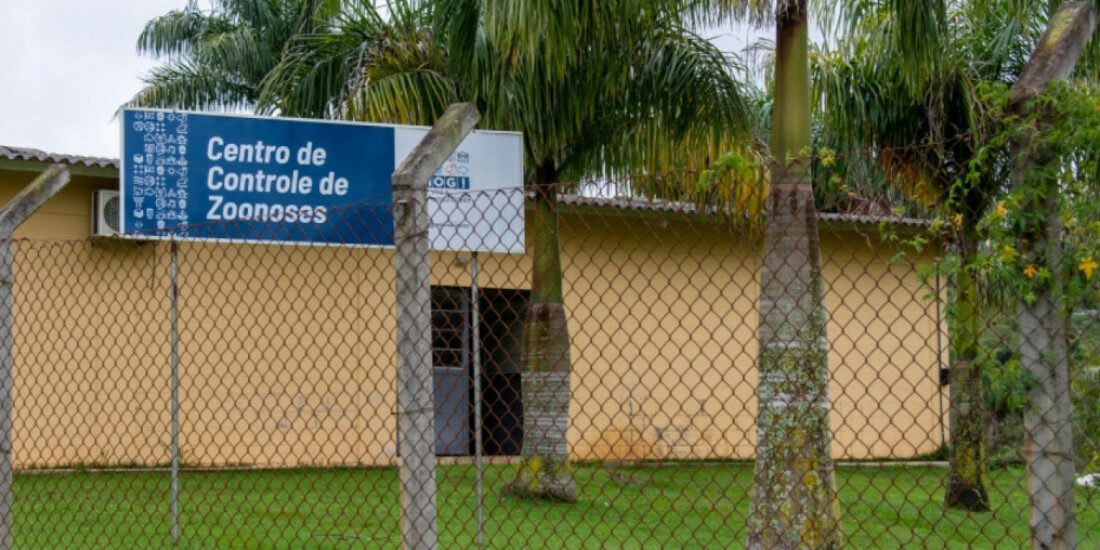 CCZ tem novo telefone para melhorar atendimento