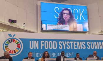Brasil muda posição sobre liberalizar comércio mundial de alimentos