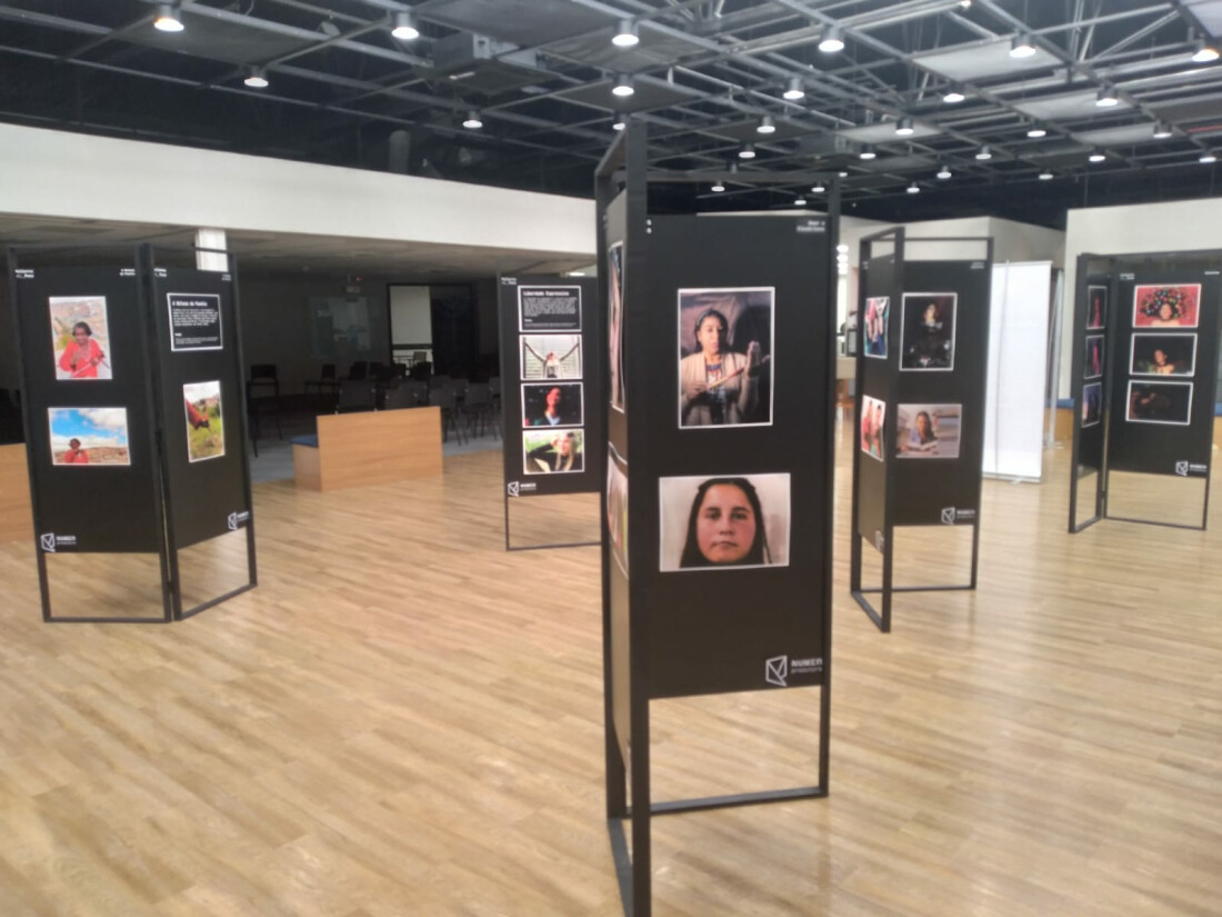 Exposição fotográfica 'Mulheres em Foco' celebra o talento de ferrazenses