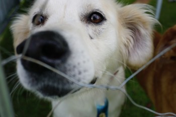 Parque Max Feffer recebe projeto 'Baby, me Leva!' neste domingo