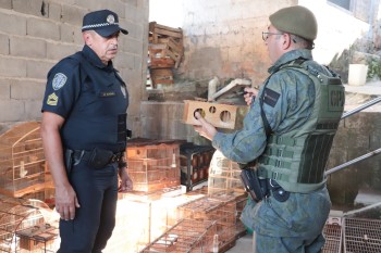Sete pessoas são conduzidas pelo GPA à delegacia após flagrante de competição de aves