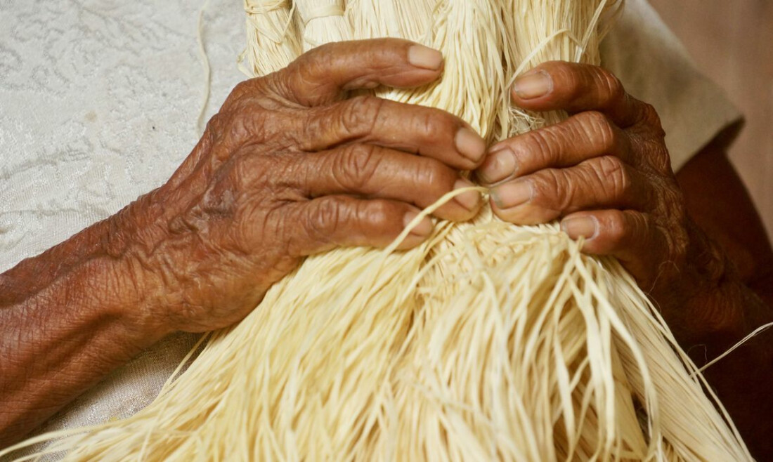 Mulheres indígenas lideram projetos de geração de renda e agroecologia