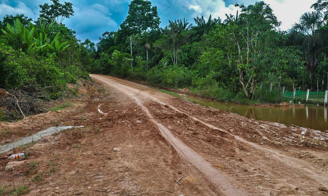 Ambientalistas denunciam desmatamento às margens de rodovia amazônica