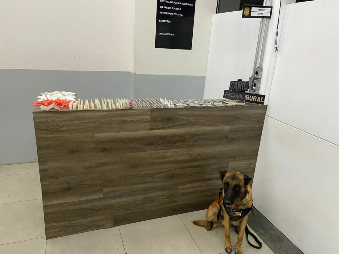 Com apoio do Canil, Guarda Municipal faz apreensão de entorpecentes no Conjunto do Bosque