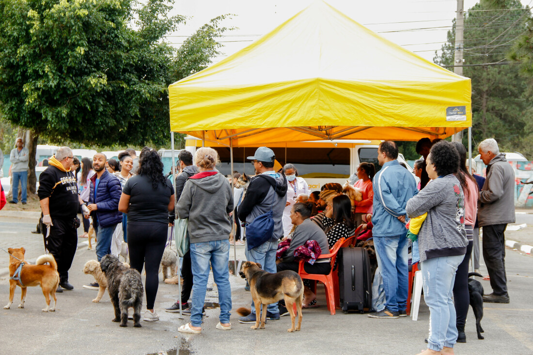 Ferraz terá inscrições para castração gratuita na Cidade Kemel