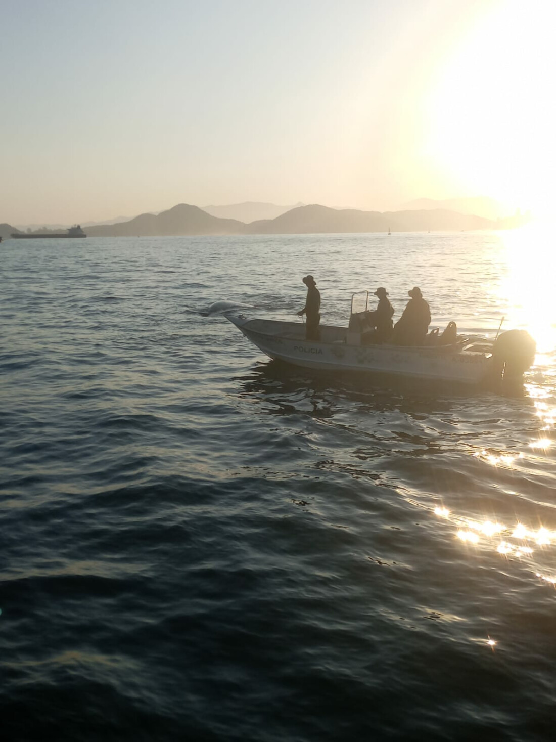 PM Ambiental resgata baleias que corriam risco de encalhar no Porto de Santos