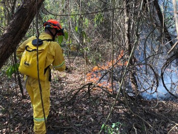 Defesa Civil alerta para risco de incêndio por conta das altas temperaturas no estado de São Paulo